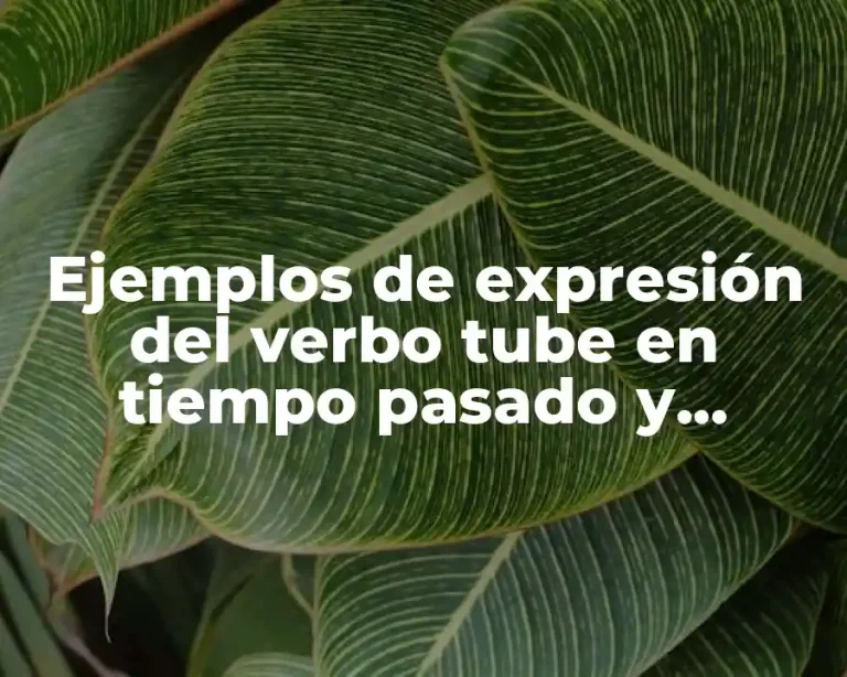 Ejemplos de expresión del verbo tube en tiempo pasado y Significado