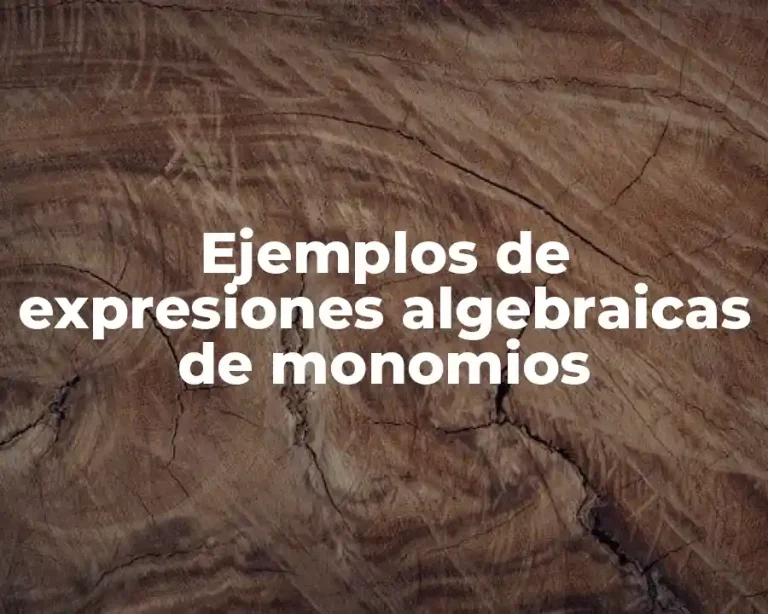 Ejemplos de expresiones algebraicas de monomios