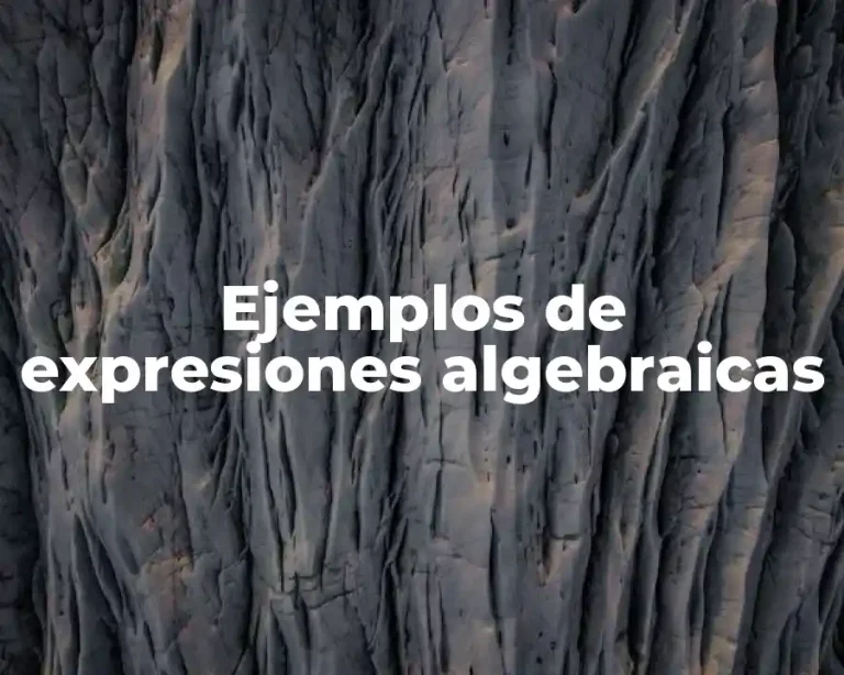 Ejemplos de expresiones algebraicas