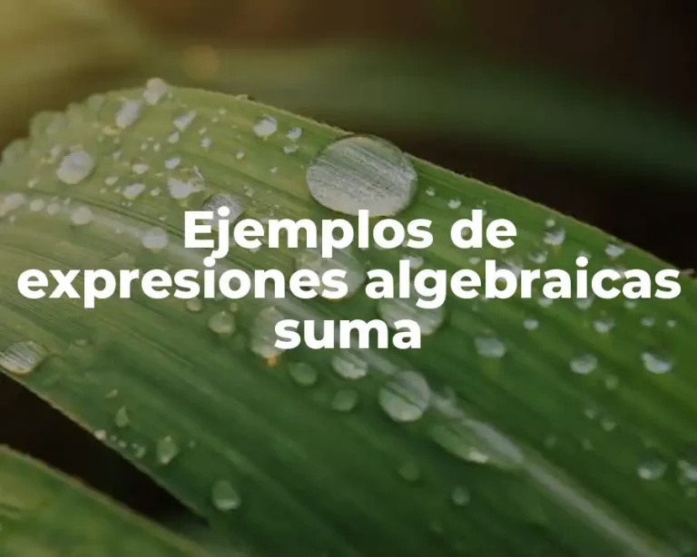 Ejemplos de expresiones algebraicas suma