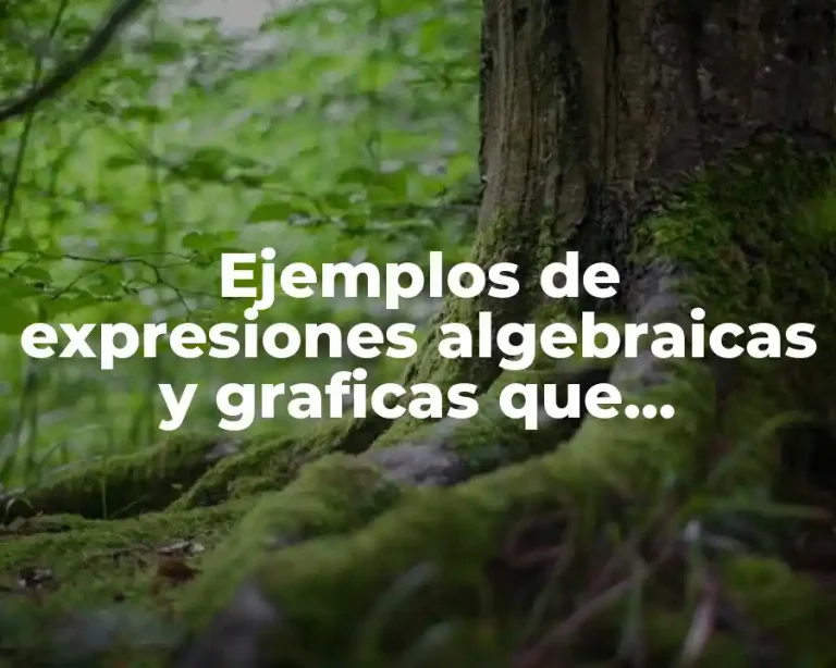 Ejemplos de expresiones algebraicas y graficas que representan cónicas