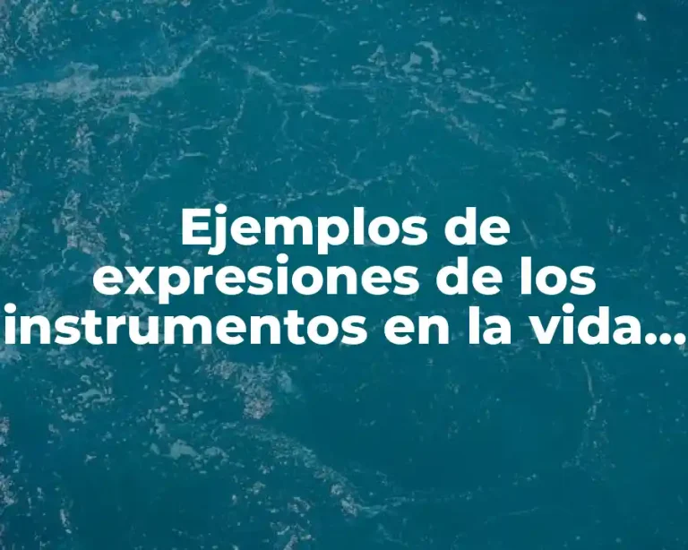 Ejemplos de expresiones de los instrumentos en la vida cotidiana