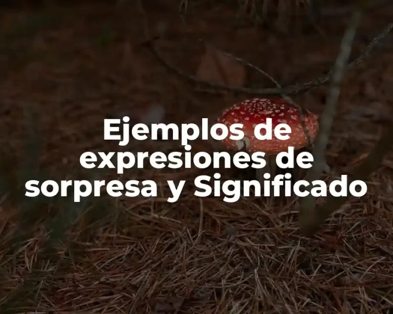 Ejemplos de expresiones de sorpresa y Significado