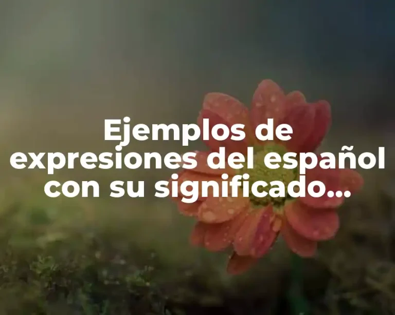 Ejemplos de expresiones del español con su significado argentina