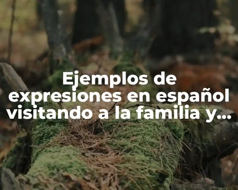 Ejemplos de expresiones en español visitando a la familia y Significado
