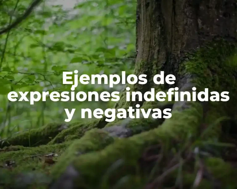 Ejemplos de expresiones indefinidas y negativas