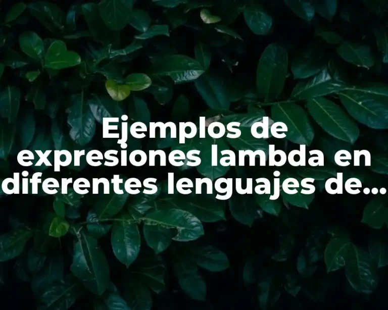 Ejemplos de expresiones lambda en diferentes lenguajes de programacion
