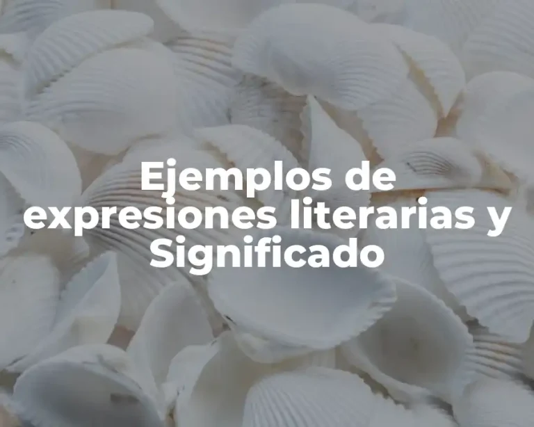 Ejemplos de expresiones literarias y Significado