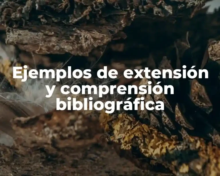 Ejemplos de extensión y comprensión bibliográfica