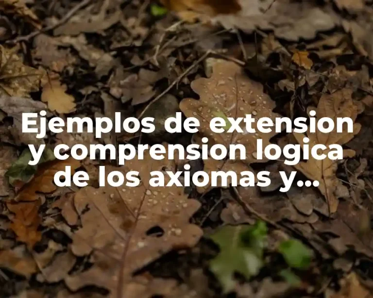 Ejemplos de extension y comprension logica de los axiomas y Significado