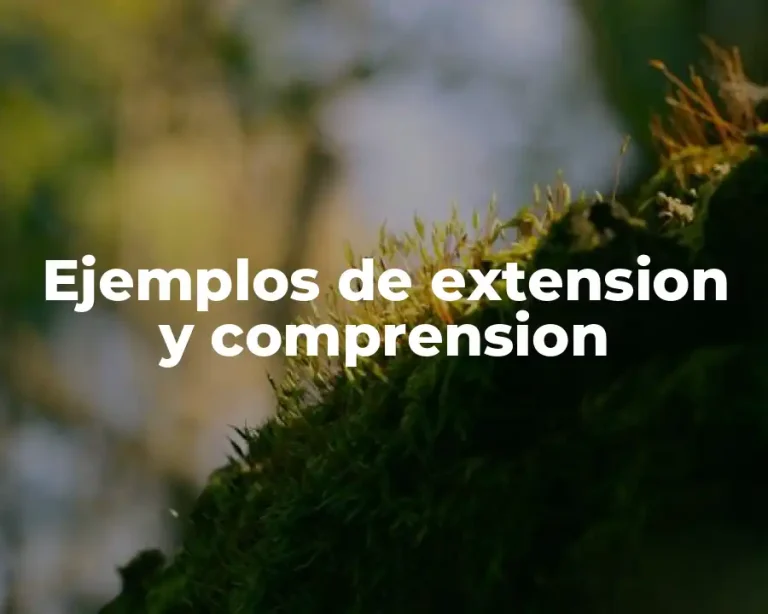 Ejemplos de extension y comprension