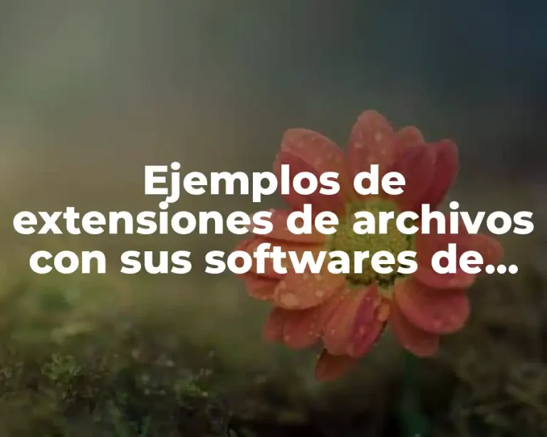 Ejemplos de extensiones de archivos con sus softwares de aplicación