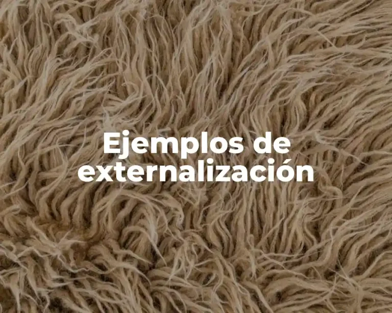 Ejemplos de externalización