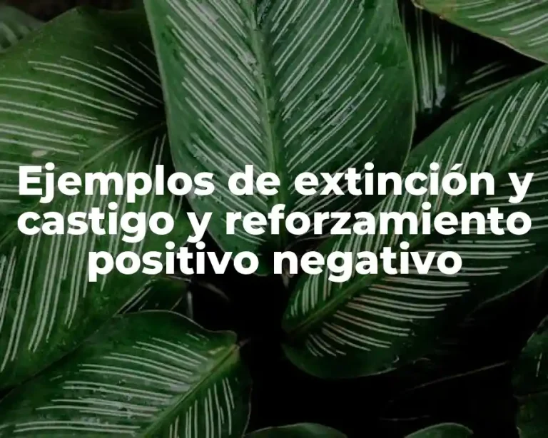 Ejemplos de extinción y castigo y reforzamiento positivo negativo