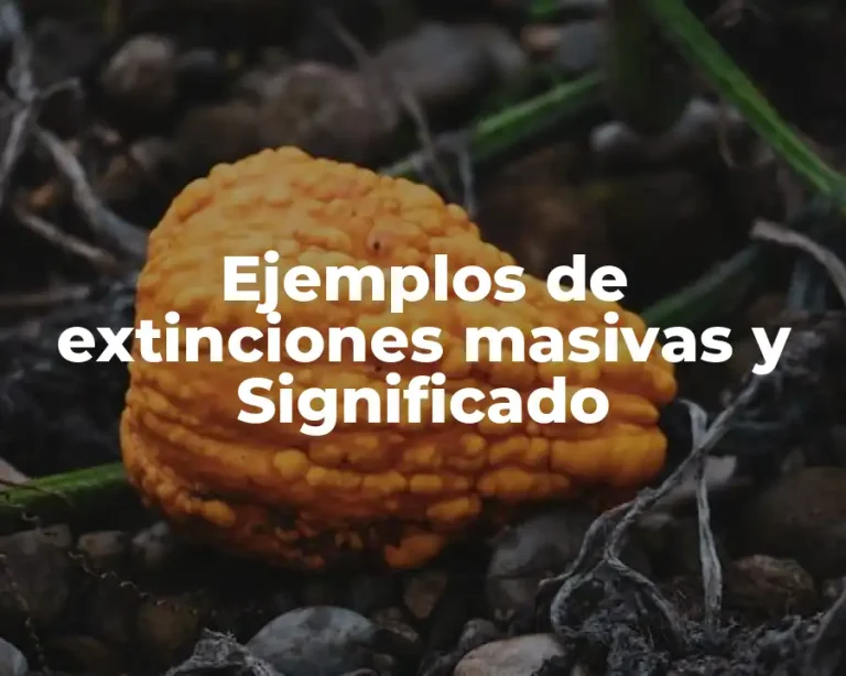 Ejemplos de extinciones masivas y Significado