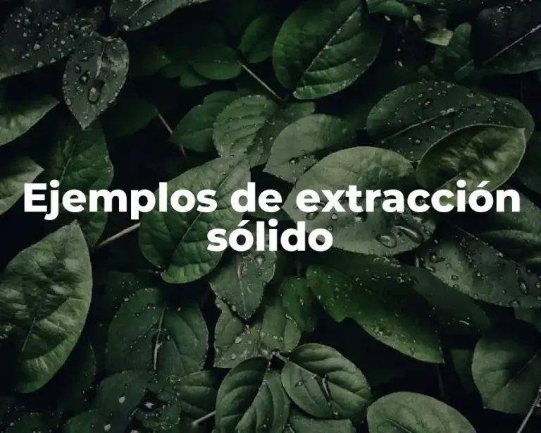 Ejemplos de extracción sólido