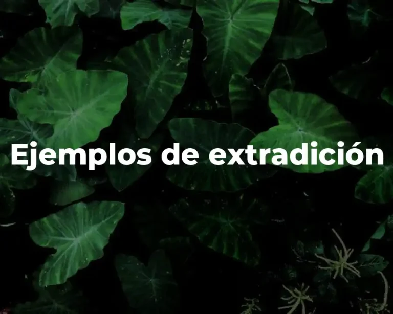 Ejemplos de extradición