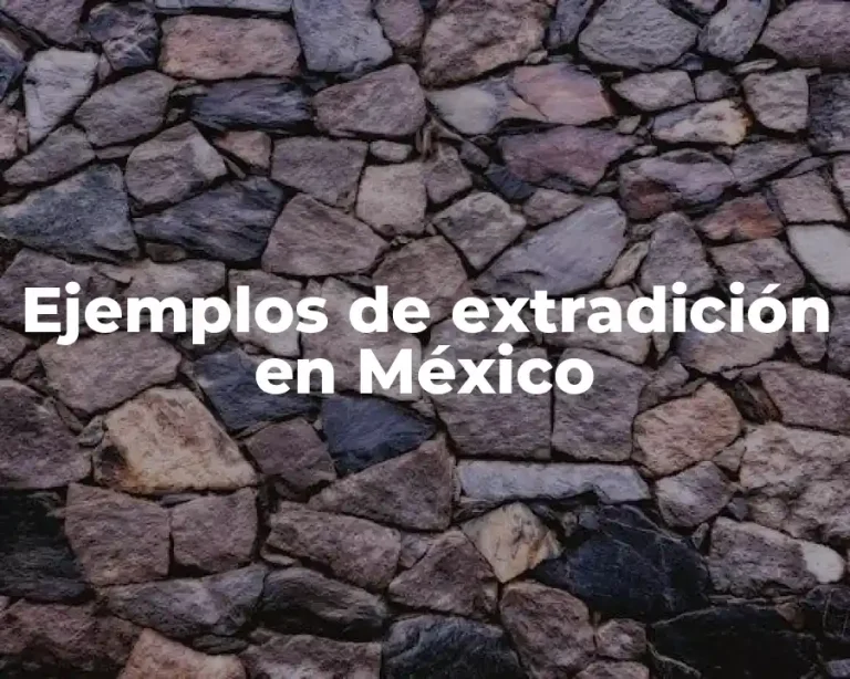 Ejemplos de extradición en México
