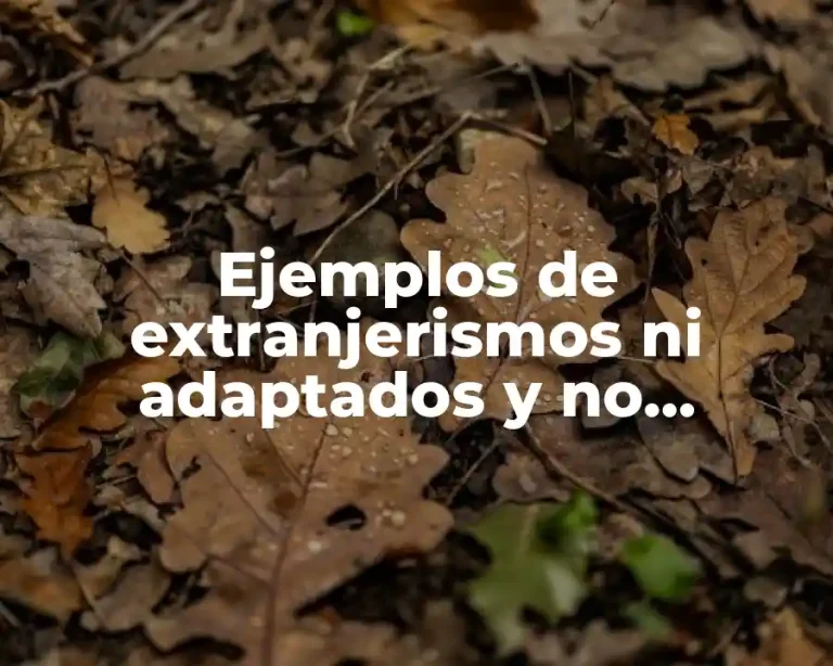 Ejemplos de extranjerismos ni adaptados y no adaptados y Significado