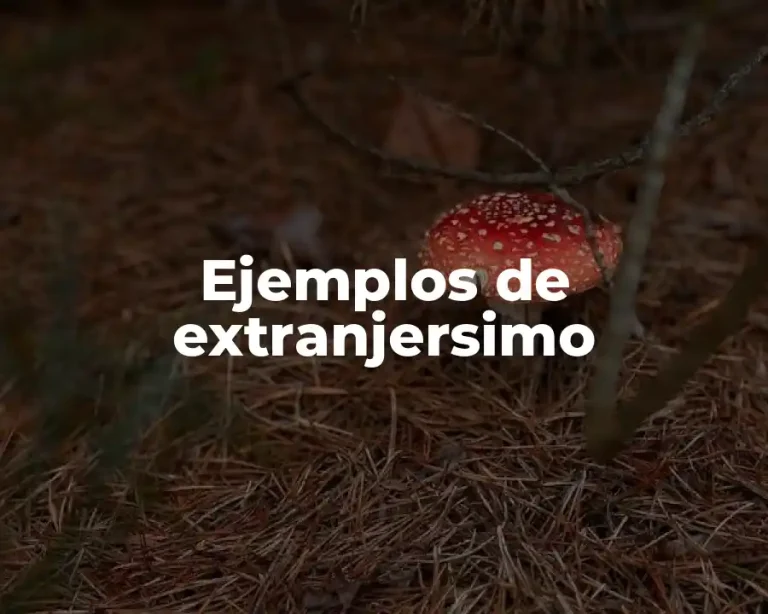 Ejemplos de extranjersimo