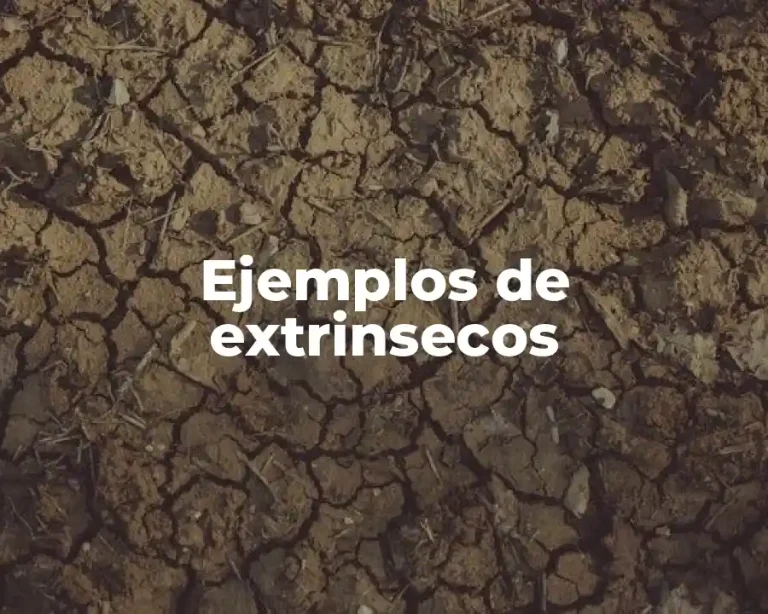 Ejemplos de extrinsecos
