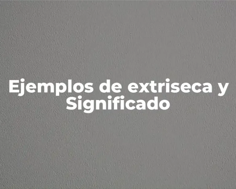 Ejemplos de extriseca y Significado
