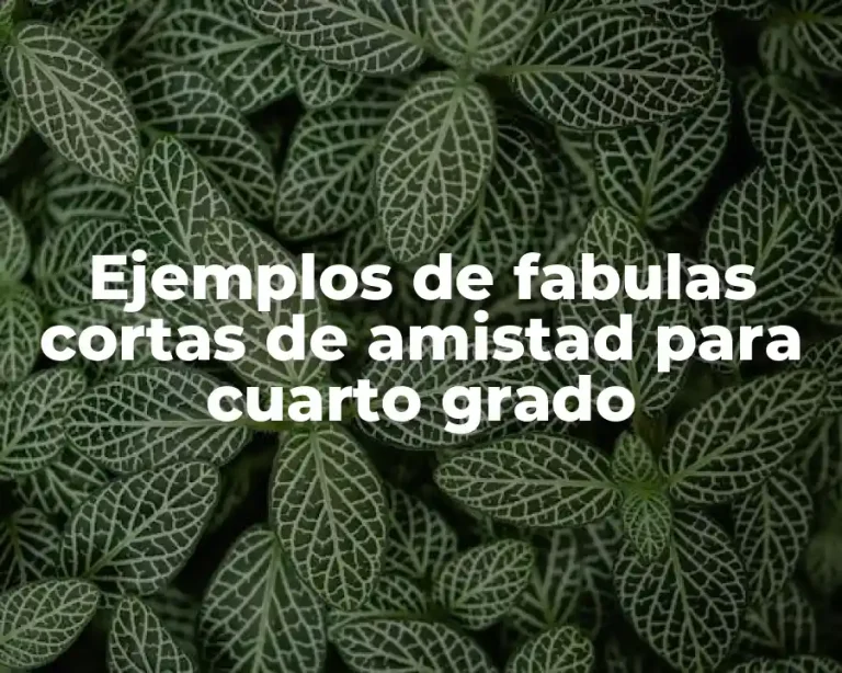 Ejemplos de fabulas cortas de amistad para cuarto grado