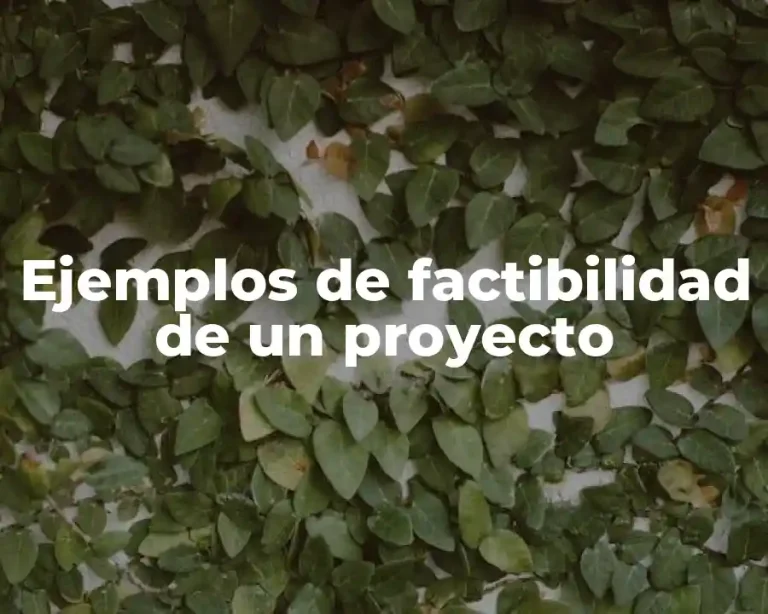 Ejemplos de factibilidad de un proyecto