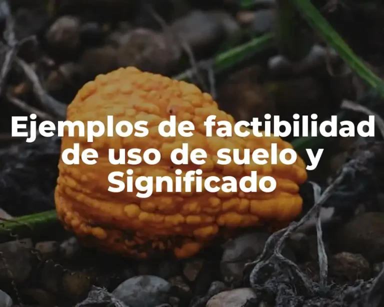 Ejemplos de factibilidad de uso de suelo y Significado