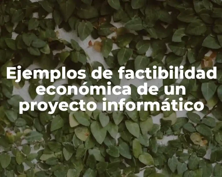 Ejemplos de factibilidad económica de un proyecto informático