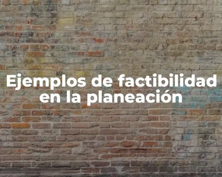 Ejemplos de factibilidad en la planeación