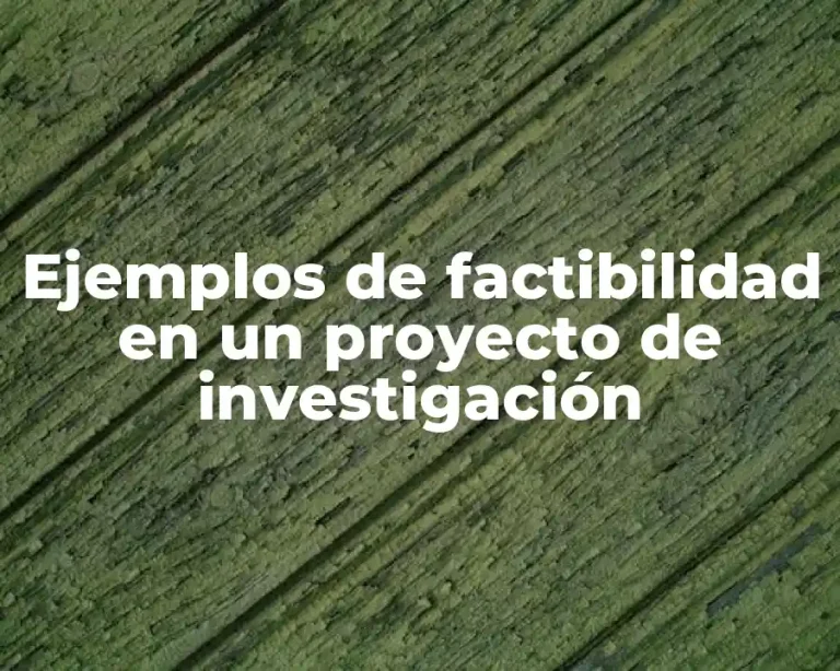 Ejemplos de factibilidad en un proyecto de investigación