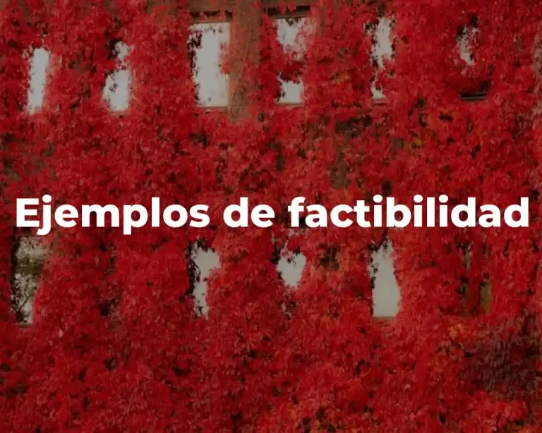 Ejemplos de factibilidad