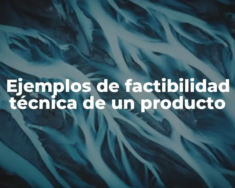 Ejemplos de factibilidad técnica de un producto
