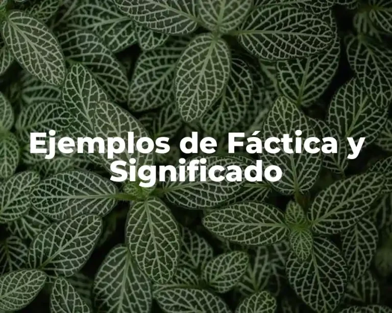 Ejemplos de Fáctica y Significado
