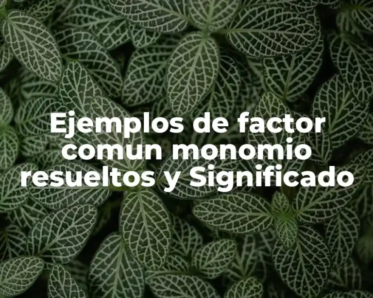 Ejemplos de factor comun monomio resueltos y Significado