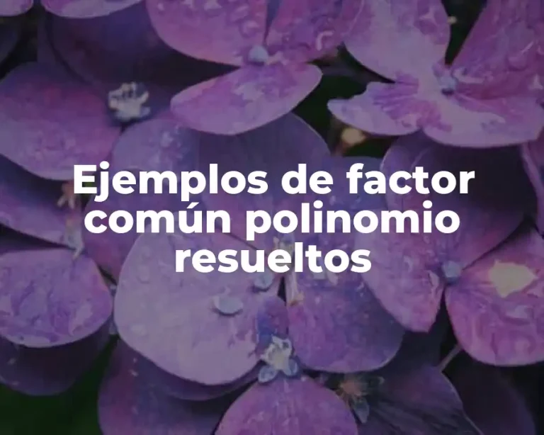 Ejemplos de factor común polinomio resueltos