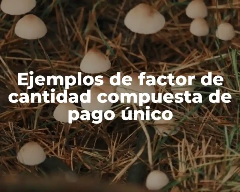 Ejemplos de factor de cantidad compuesta de pago único