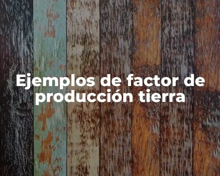 Ejemplos de factor de producción tierra