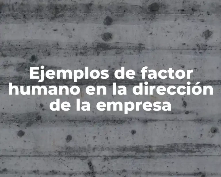 Ejemplos de factor humano en la dirección de la empresa