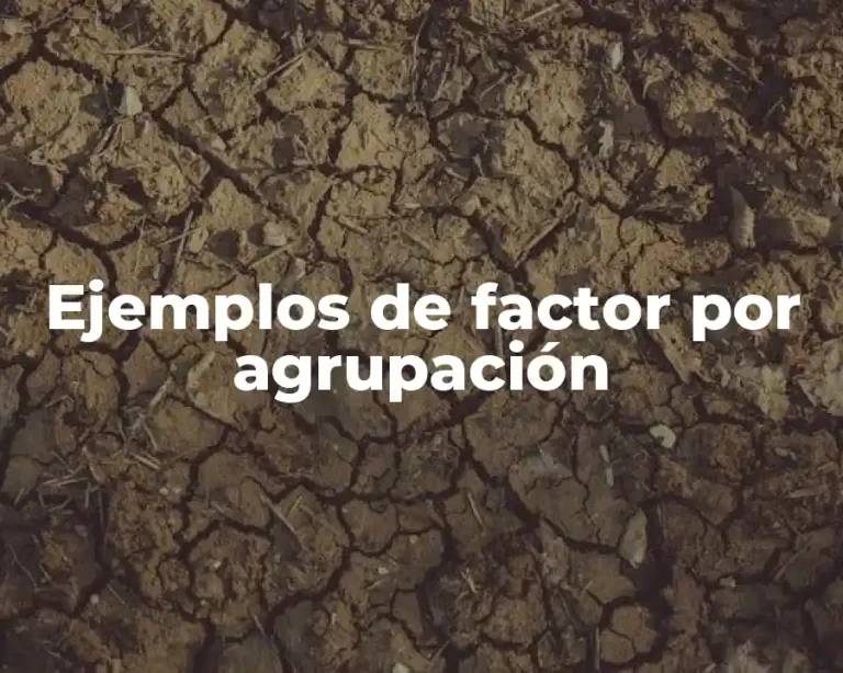 Ejemplos de factor por agrupación