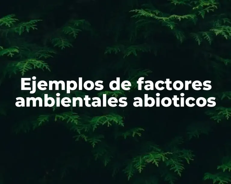 Ejemplos de factores ambientales abioticos