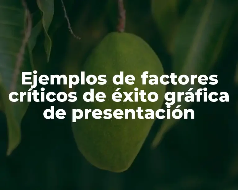 Ejemplos de factores críticos de éxito gráfica de presentación