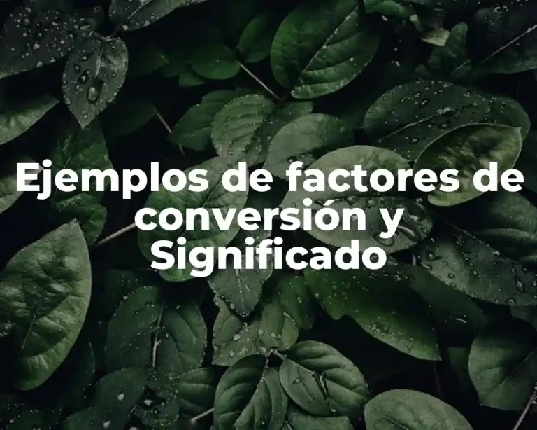 Ejemplos de factores de conversión y Significado