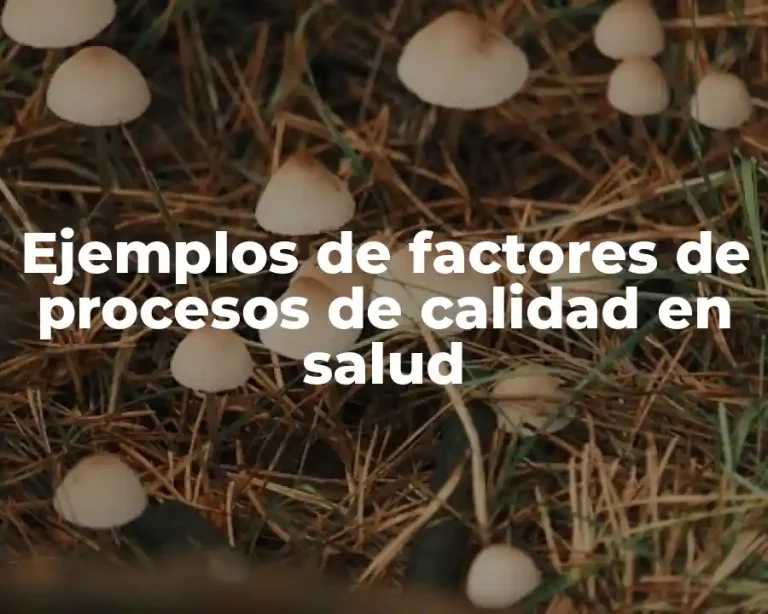 Ejemplos de factores de procesos de calidad en salud