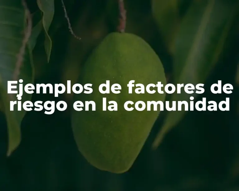 Ejemplos de factores de riesgo en la comunidad