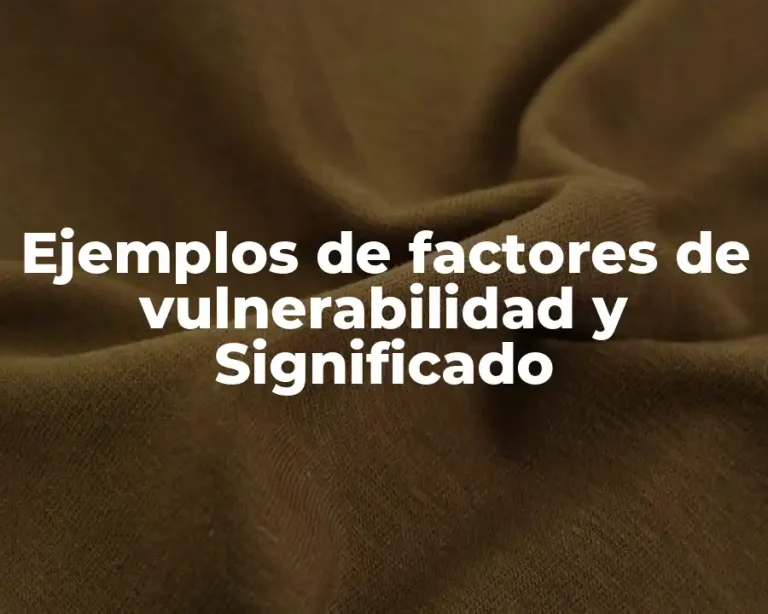 Ejemplos de factores de vulnerabilidad y Significado