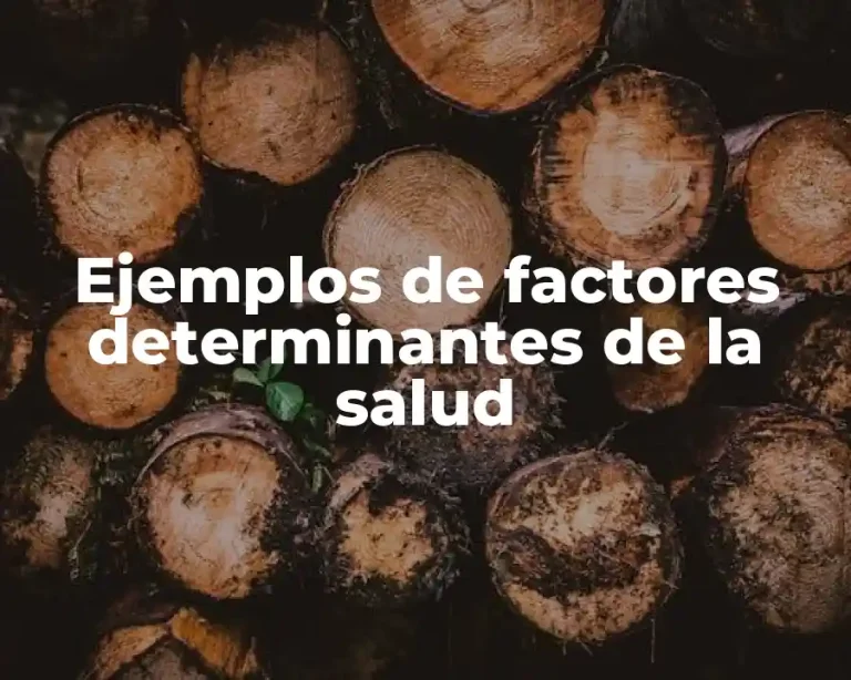 Ejemplos de factores determinantes de la salud