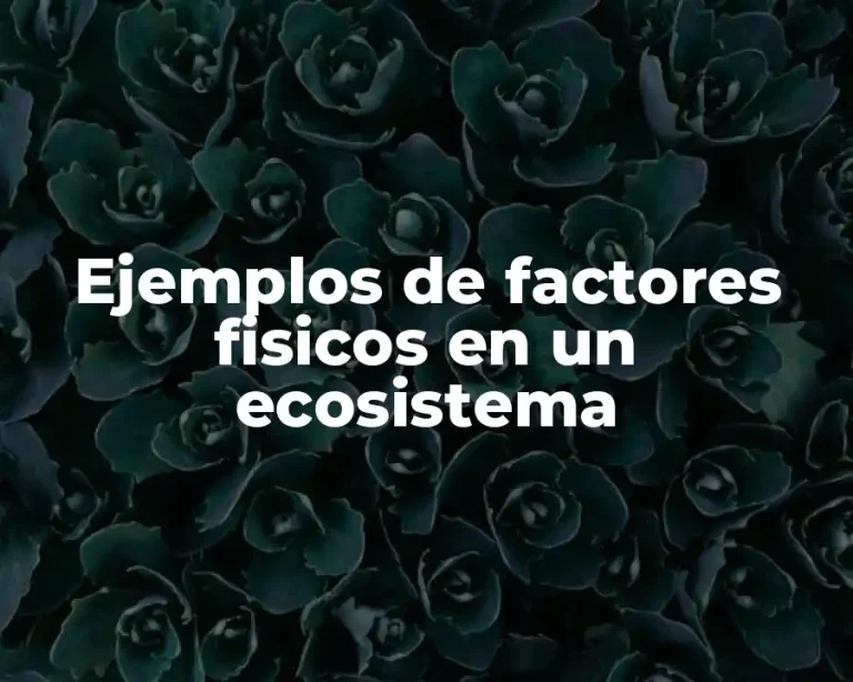 Ejemplos de factores fisicos en un ecosistema