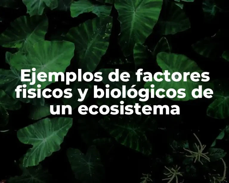 Ejemplos de factores fisicos y biológicos de un ecosistema
